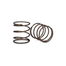 Stötdämparfjäder Mini GTR (1.19 rate) (2)