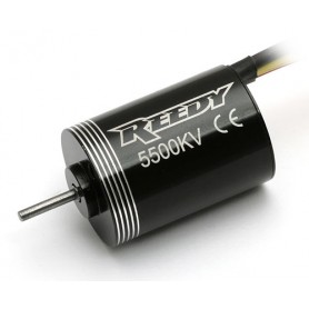 Reedy Micro BL motor 5500kV