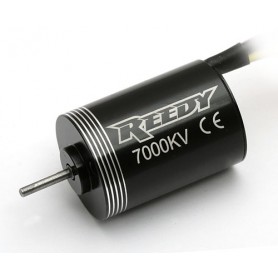 Reedy Micro BL motor 7000kV