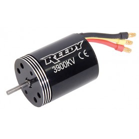 Reedy 540R 3900kV BL motor